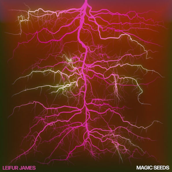 Magic Seeds