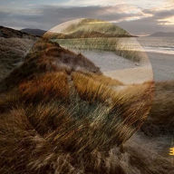 Title: Marram, Artist: Matt Carmichael