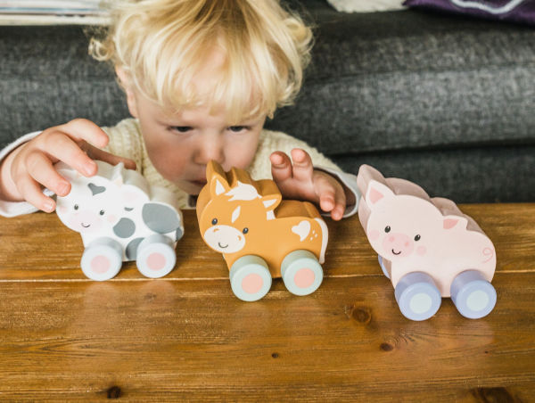 First Push Toy - Pony