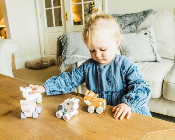 First Push Toy - Pony