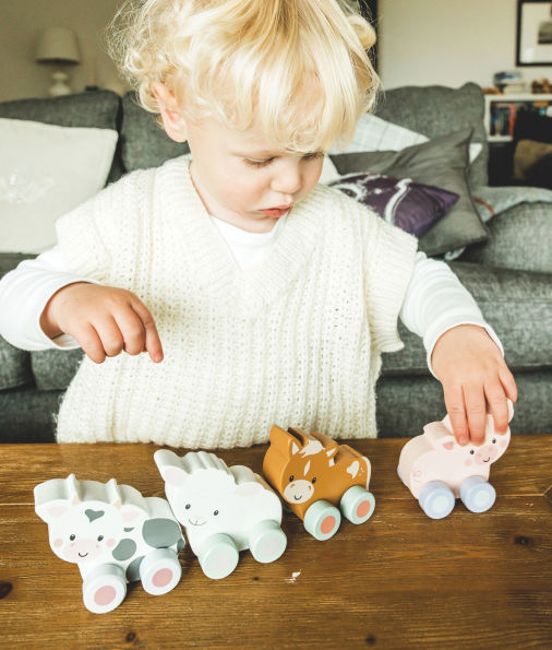 First Push Toy - Pig