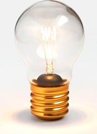 Title: Rechargeable Magic Cordless Filament Light Bulb