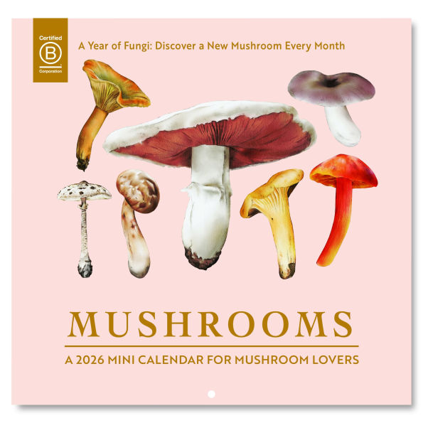2026 Mushroom Mini Grid Art Calendar