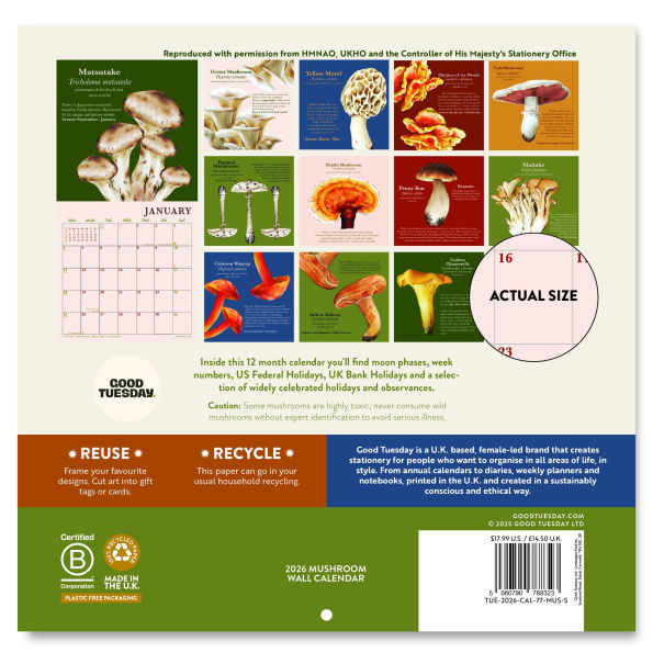 2026 Mushroom Mini Grid Art Calendar