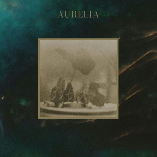 Aurelia