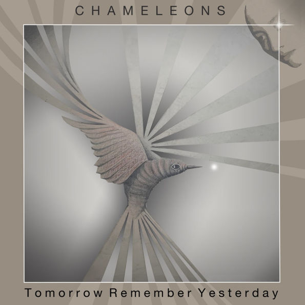 Tomorrow, Remember Yesterday