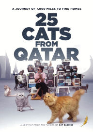 Title: 25 Cats From Qatar