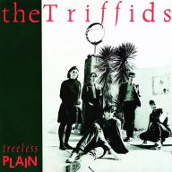 Title: Treeless Plain, Artist: The Triffids