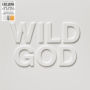 Alternative view 2 of Wild God [Limited Edition Orange 12 X 12 Album Art Print ] [Barnes & Noble Exclusive]