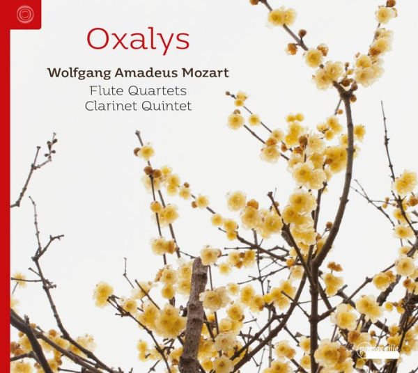 Mozart: Flute Quartets; Clarinet Quintet