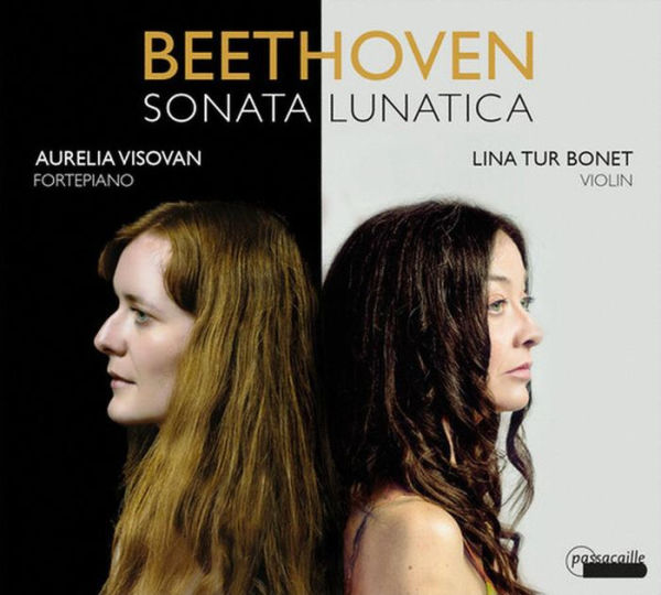 Beethoven: Sonata Lunatica