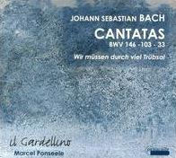 Bach: Cantatas, BWV 146,103, 33