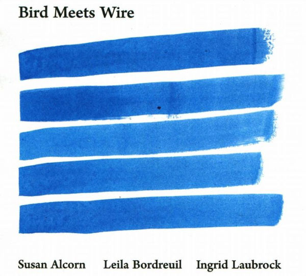 Bird Meets Wire