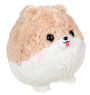 Amuse Tan/White Pomeranian 13.5 IN Medium