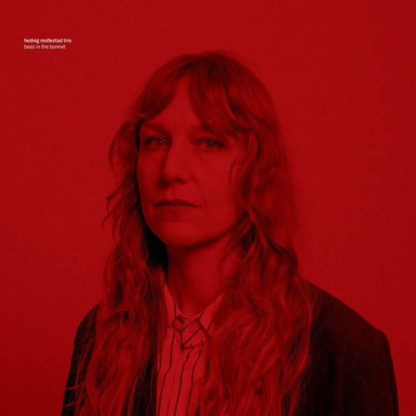 Bees The Bonnet (Aus)