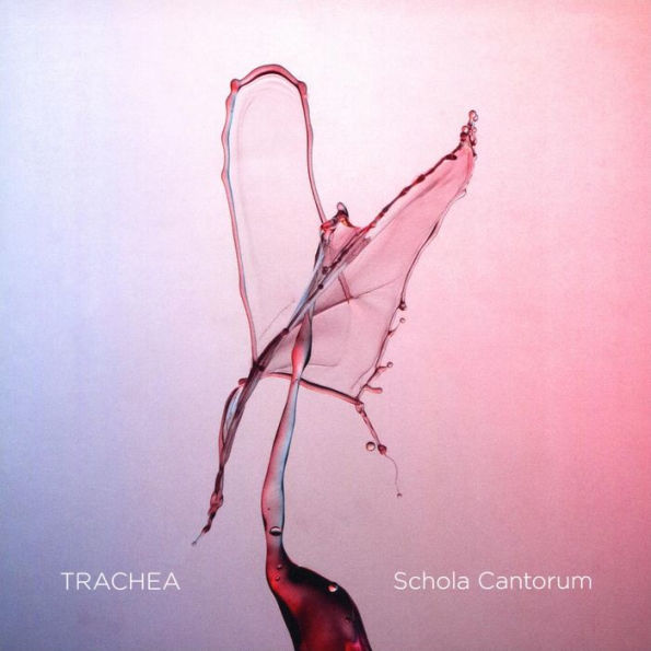 Trachea