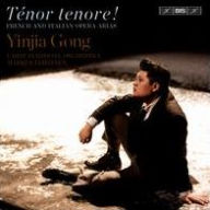 Title: T¿¿nor tenore!, Artist: Yinjia Gong