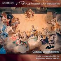 J.S. Bach: Secular Cantatas, Vol. 10 - Cantatas of Contentment - BWV 204, BWV 30a