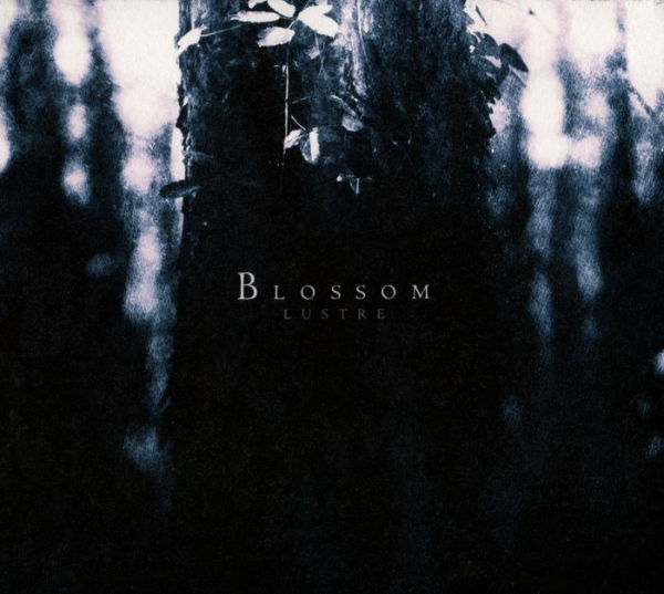 Blossom