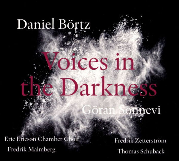 Daniel B¿¿rtz: Voices in the Darkness