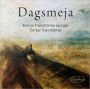 Dagsmeja