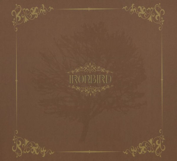 Ironbird