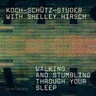 Title: Walking & Stumbling Through Your Sleep, Artist: Shelley Hirsch