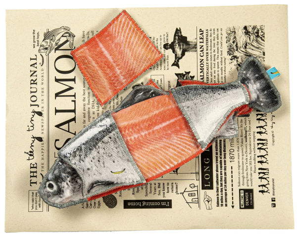 Lucky Salmon - Salmon set