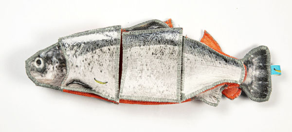 Lucky Salmon - Salmon set
