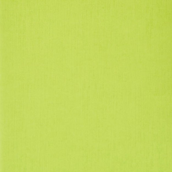 Ecoqua Original Notebook, A4, Staple-Bound, Dotted, Lime