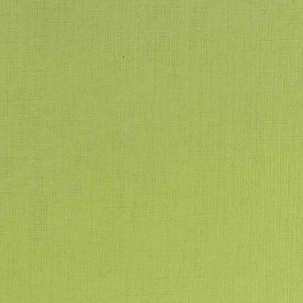 Ecoqua Plus Journal, A4, Stitch-Bound, Lined, Lime