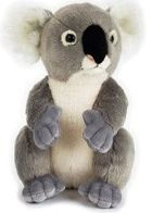 National Geographic Koala Plush Toy