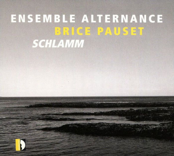 Brice Pauset: Schlamm