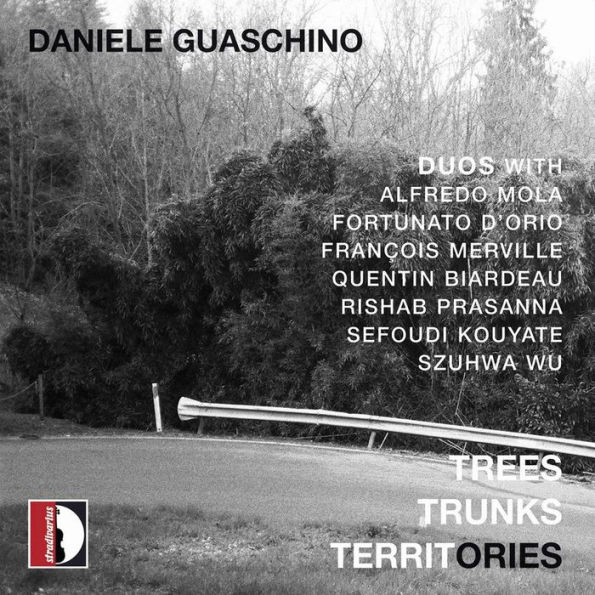 Daniele Guaschino: Trees, Trunks, Territories