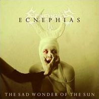 The Sad Wonder of the Sun