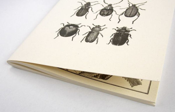 Notebook A5, Soft Cover/Stitched Bound Beetle design