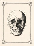Alternative view 1 of Skull Boxed Note Cards and Envelopes 8/8