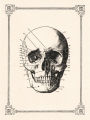 Skull Boxed Note Cards and Envelopes 8/8