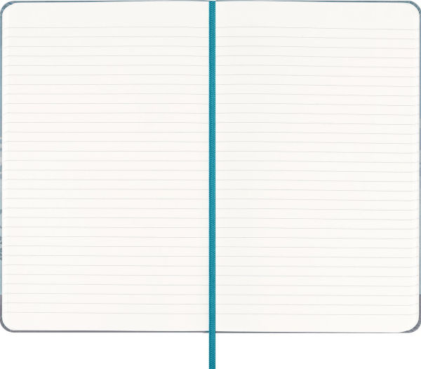 Moleskine Large Notebook, Casa Batllo