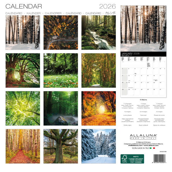 2026 Magic Trees Wall Calendar