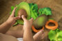 Alternative view 4 of Oli & Carol, ARNOLD THE AVOCADO Teether