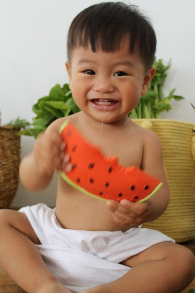 Oli & Carol, WALLY THE WATERMELON Teether