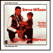 Title: Blues for Marcus, Artist: Steve Wilson