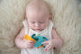 Alternative view 3 of Dolce Shelly the Crab & Ocean Activity Teether