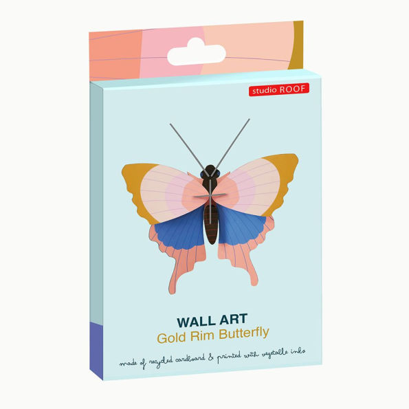 Gold Rim Butterfly