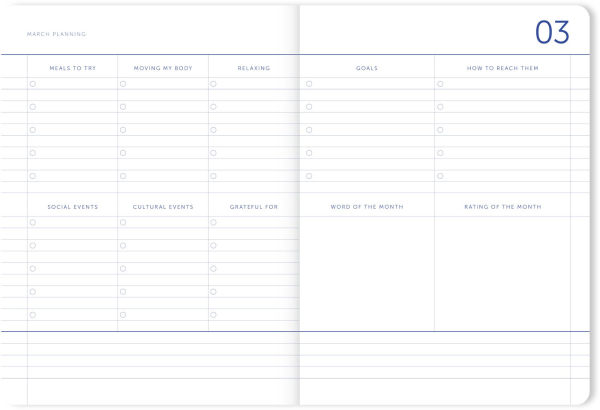 2025-2026 A-Journal School Diary Lilac Checkered 18 month Planner