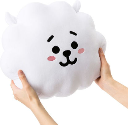 bt21 huge plush