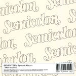 Alternative view 2 of ; (Semicolon)