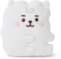 BT21 Jelly Candy Baby RJ flat face cushion