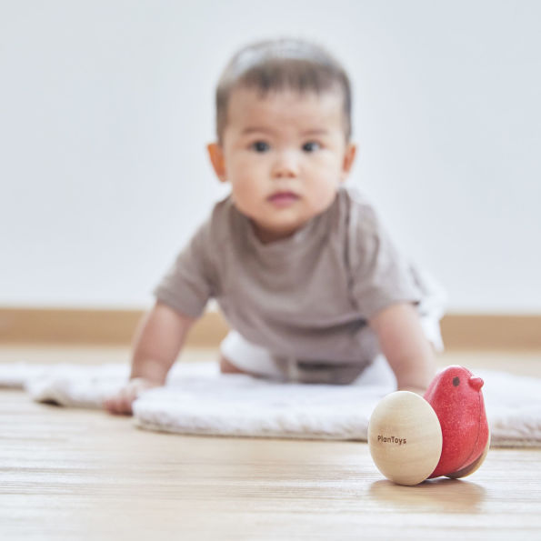 PlanToys Bird Roller